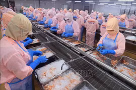 附图。图自越通社