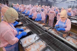 附图。图自越通社