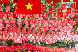鲜红的祖国旗帜洋溢在河内街头巷尾。图自越通社