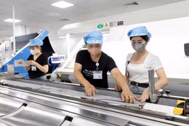 截至2025年11月中旬，越南进出口总额已达8000亿美元。图自越通社