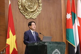 越南国家主席梁强访问阿拉伯国家联盟并发表政策演讲