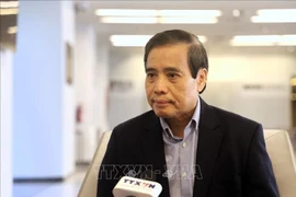 新加坡李光耀公共政策学院教授武明姜。图自越通社