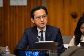 越南常驻联合国代表团团长杜雄越大使出席并发表讲话。图自越通社