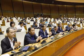 国会代表通过嘉平国际机场及荣市-清水高速公路项目投资主张。图自越通社