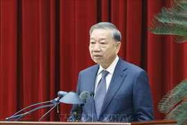 苏林总书记发表讲话。图自越通社