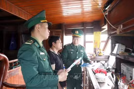 边防部队加强巡逻检查，及时发现、打击和遏制违规行为。图自越通社