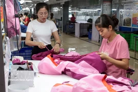 附图。图自越通社