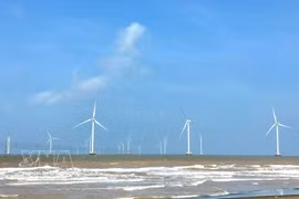 永隆省已投入运行13座风力发电厂，总装机容量达572兆瓦。图自越通社