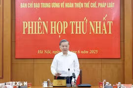 越共中央总书记苏林。图自越通社