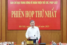 越共中央总书记苏林。图自越通社