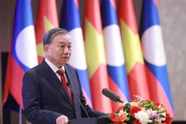 越共中央总书记苏林出席老越友谊公园落成典礼。图自越通社