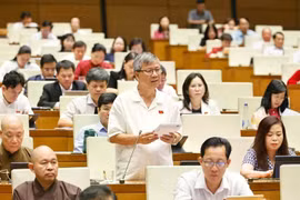 国会在会场上就各项法律草案进行讨论。图自越通社