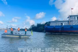 第12号台风：确保东海北部海域船舶安全。图自越通社