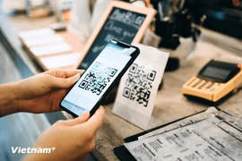 附图。图自越通社