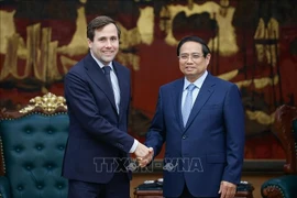 2025年5月12日，越南政府总理范明政会见瑞典国际发展合作与对外贸易部长本杰明·多萨。图自越通社