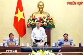 越南国会主席陈青敏发表讲话。图自越通社