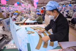 尽快成立原辅料中心 推动越南纺织服装产业发展。图自越通社