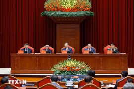 越共中央总书记苏林主持召开越共十三大任期内反腐败反浪费反消极工作总结会议。图自越通社