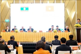 研讨会现场。图自越通社