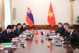 越南与斯洛伐克举行政治磋商。图自越通社