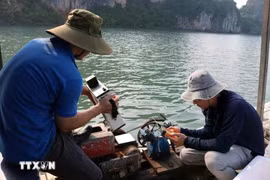 研究小组在下龙湾和芦门湾采集海水样本。图自越通社