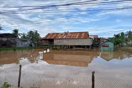 越南嘉莱省亚孝（Ia Hiao）乡约450户居民因强降雨导致局部内涝受困。图自越通社