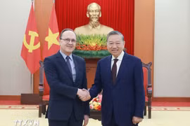 越共中央总书记苏林与俄罗斯联邦驻越南大使根纳季·别兹德科。图自越通社