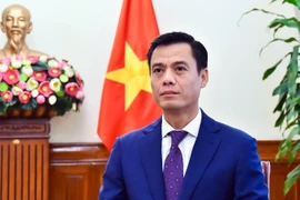 越南外交部副部长、东盟高官会（SOM）越南代表团团长邓黄江。图自越通社