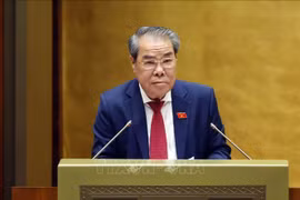 越南国会民愿与监督委员会主任杨清平。图自越通社