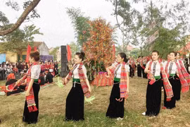 泰族少女表演传统舞蹈。图自越通社