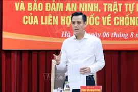 越南外交部副部长邓黄江出席会议并发表讲话。图自越通社