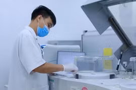 附图。图自越通社