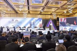 越南国会主席陈青敏在第46届东盟议会联盟大会第一次全体会议上发表讲话。图自越通社