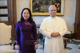 越南国家副主席武氏映春礼节性拜会了教皇良十四世。图自越通社
