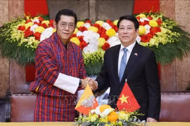 越南国家主席梁强和不丹国王吉格梅·凯萨尔·纳姆耶尔·旺楚克。图自越通社