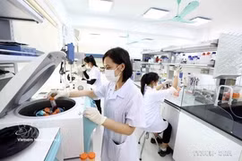 附图。图自越通社