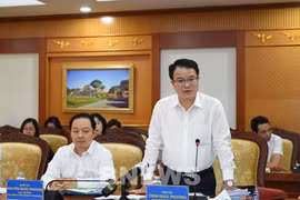 越南财政部副部长陈国芳在会议上发表讲话。图自越通社