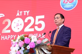 越南政府副总理、外交部长裴青山发表讲话。图自越通社