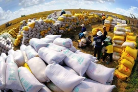 截至9月15日，越南已累计出口660万吨大米，出口量同比增长1.5%。图自越通社