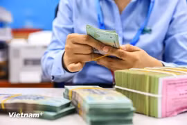 扩大信贷规模 助力经济增长。图自越通社