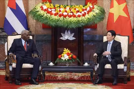 越南国家主席梁强会见古巴全国人民政权代表大会主席埃斯特万·拉索·埃尔南德斯。图自越通社