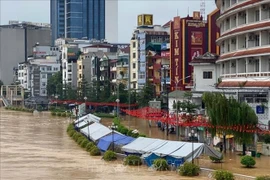 越南北部和中部部分省份遭受第10号台风"博罗依"（Bualoi）的严重影响。图自越通社