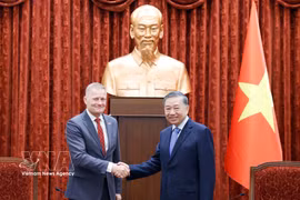 越共中央总书记、国家主席苏林会见丹麦离任大使尼古拉·普利茨。图自越通社