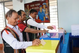 越南全国近7900万选民行使选举权利和义务。图自越通社