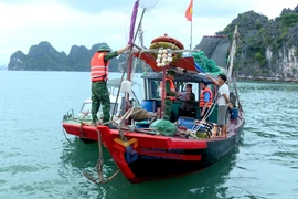 鸿基港口边防哨所同有关部门检查并处理在下龙湾非法捕捞水产品的渔船。图自广宁报