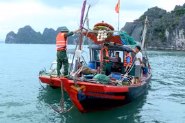 鸿基港口边防哨所同有关部门检查并处理在下龙湾非法捕捞水产品的渔船。图自广宁报