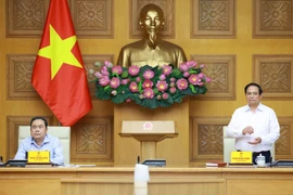 政府总理和国会主席共同主持第十五届国会第十次会议筹备工作会议。图自越通社