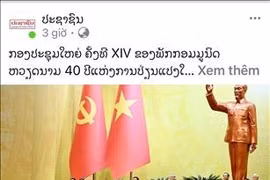 越共十四大：发展的信心