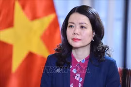 越南外交部副部长阮明恒。图自越通社