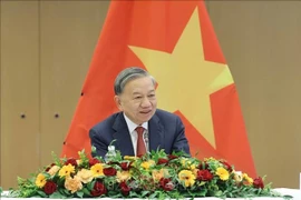 越共中央总书记苏林。图自越通社